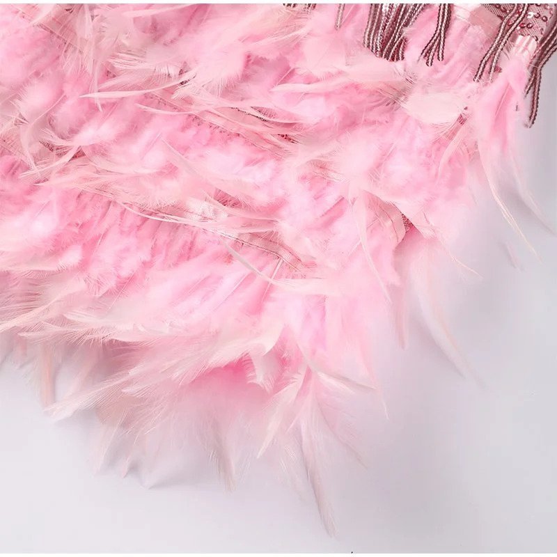 Women Mini Dress | Feather Trimmed Short Length Silhouette Design