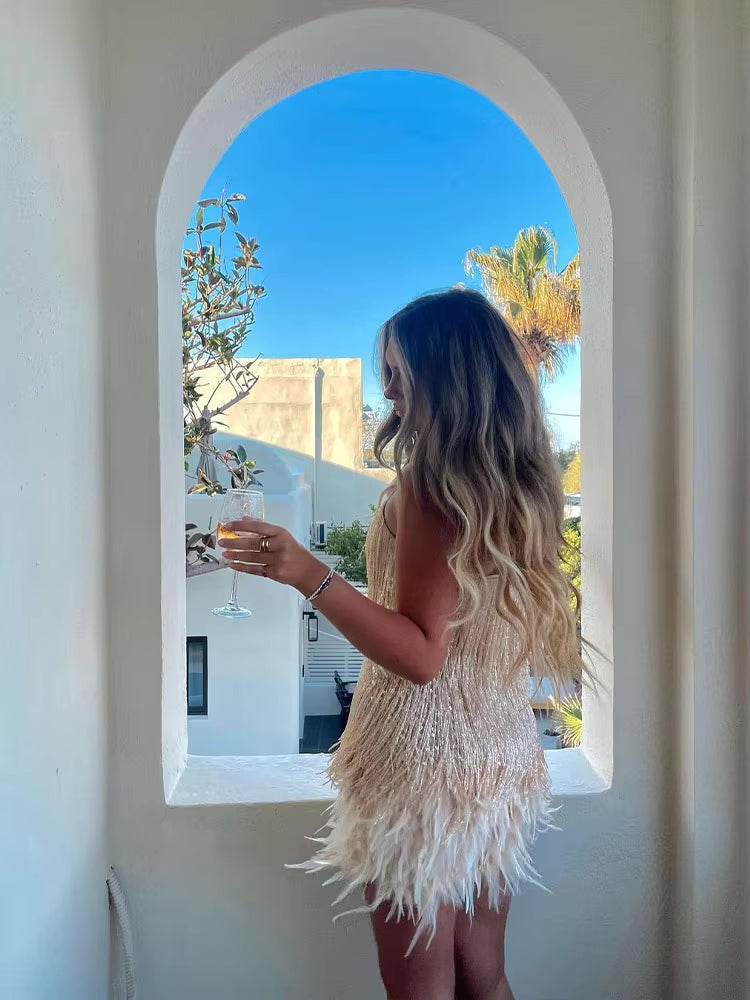Women Mini Dress | Feather Trimmed Short Length Silhouette Design
